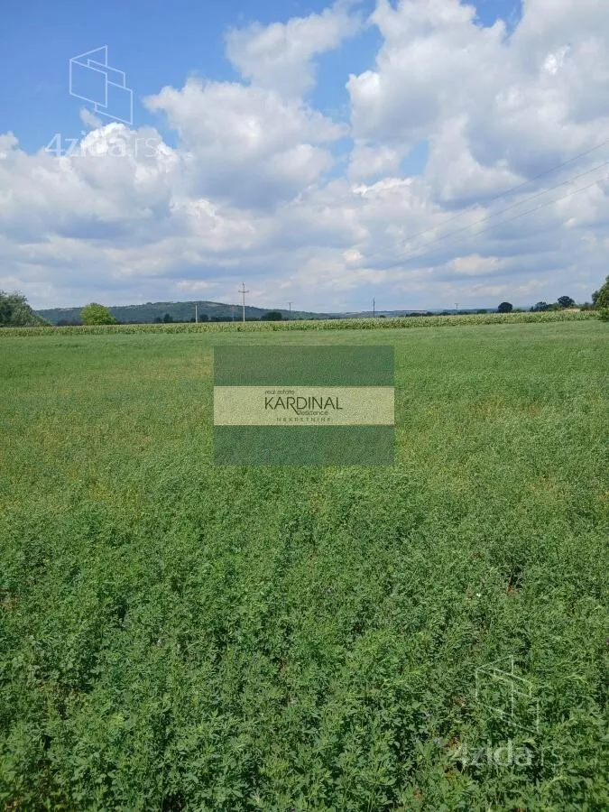 Plac | 4zida