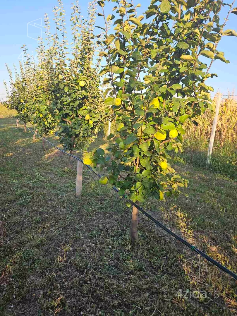 Poljoprivredno zemljište | 4zida