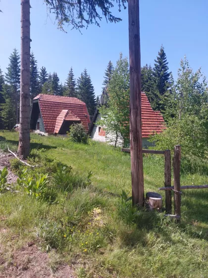 Crna Glava | 4zida.rs