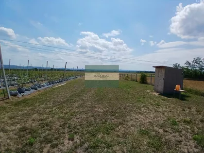 Međureč | 4zida.rs