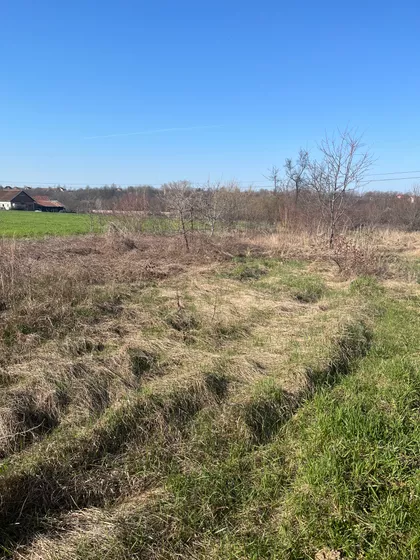 Cvetojevac | 4zida.rs