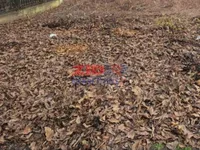 Centar, Gradske lokacije, Pančevo | 4zida.rs