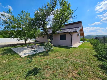 Cane Marjanović | 4zida.rs