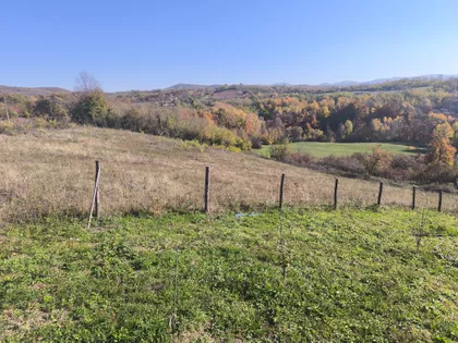 Goločelska | 4zida.rs