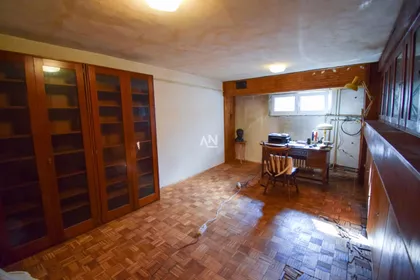 Dr Teodora Borockog | 4zida.rs