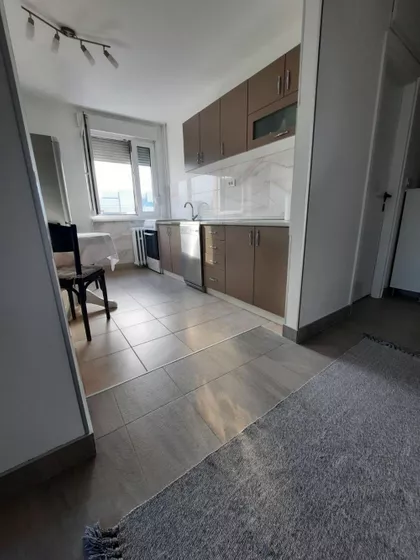 Svetozara Markovića | 4zida.rs