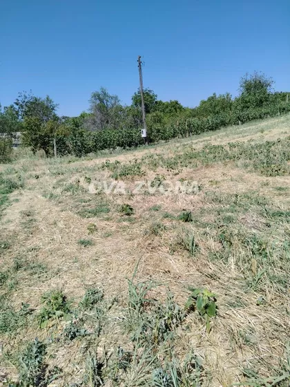 Novi Slankamen | 4zida.rs