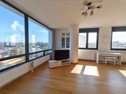 Cara Dušana | 4zida.rs