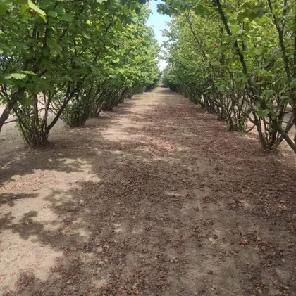 Proleterska | 4zida.rs