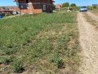 Petrovac, Gradske lokacije, Kragujevac | 4zida.rs