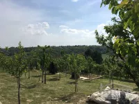 Čortanovci, Okolne lokacije, Inđija | 4zida.rs