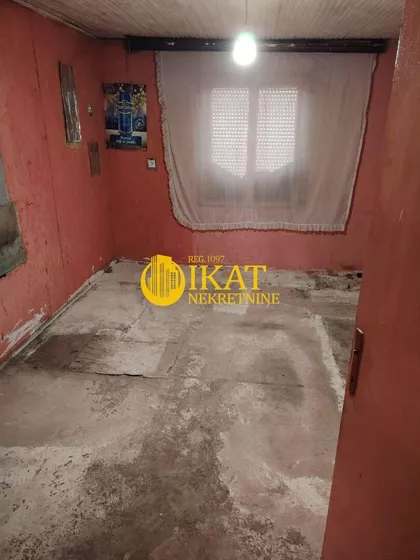 Arsenija Čarnojevića | 4zida.rs