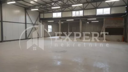 Ivana Milutinovića | 4zida.rs