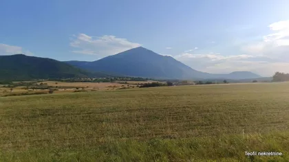 Boljevac | 4zida.rs