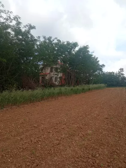 Malo Krčmare | 4zida.rs