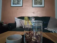 Novi Sad - Centar, Stari Grad, Gradske lokacije, Novi Sad | 4zida.rs