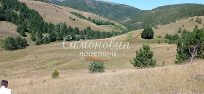 Divčibare | 4zida.rs