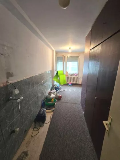 Crveni Pevac | 4zida.rs