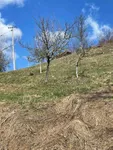 Poljoprivredno zemljište | 4zida
