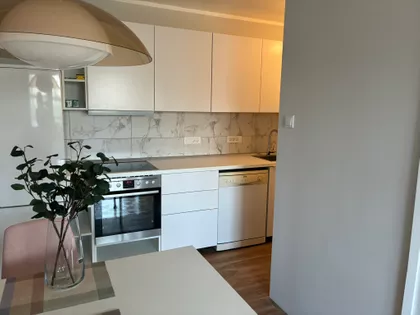 Grge Jankesa | 4zida.rs