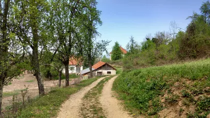 Vučkovica  | 4zida.rs