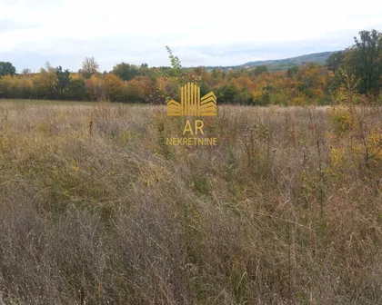 Gorovič  | 4zida.rs