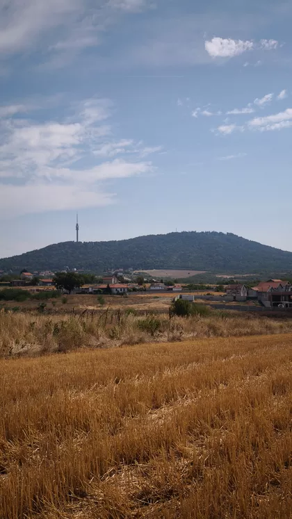 Hrastov Zapis | 4zida.rs