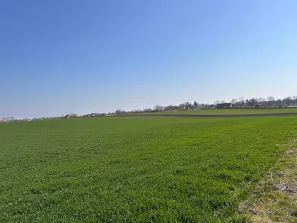 Voćarska | 4zida.rs