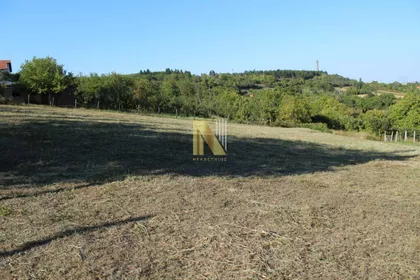 Sremska Kamenica | 4zida.rs