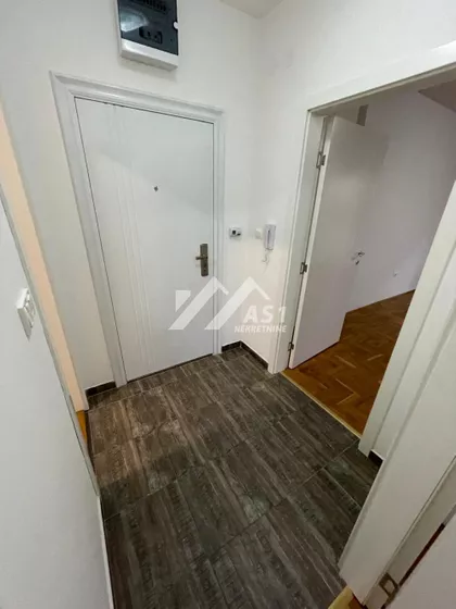 Vase Pelagića | 4zida.rs