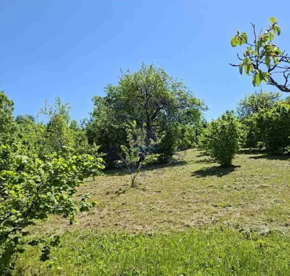 Čardak | 4zida.rs