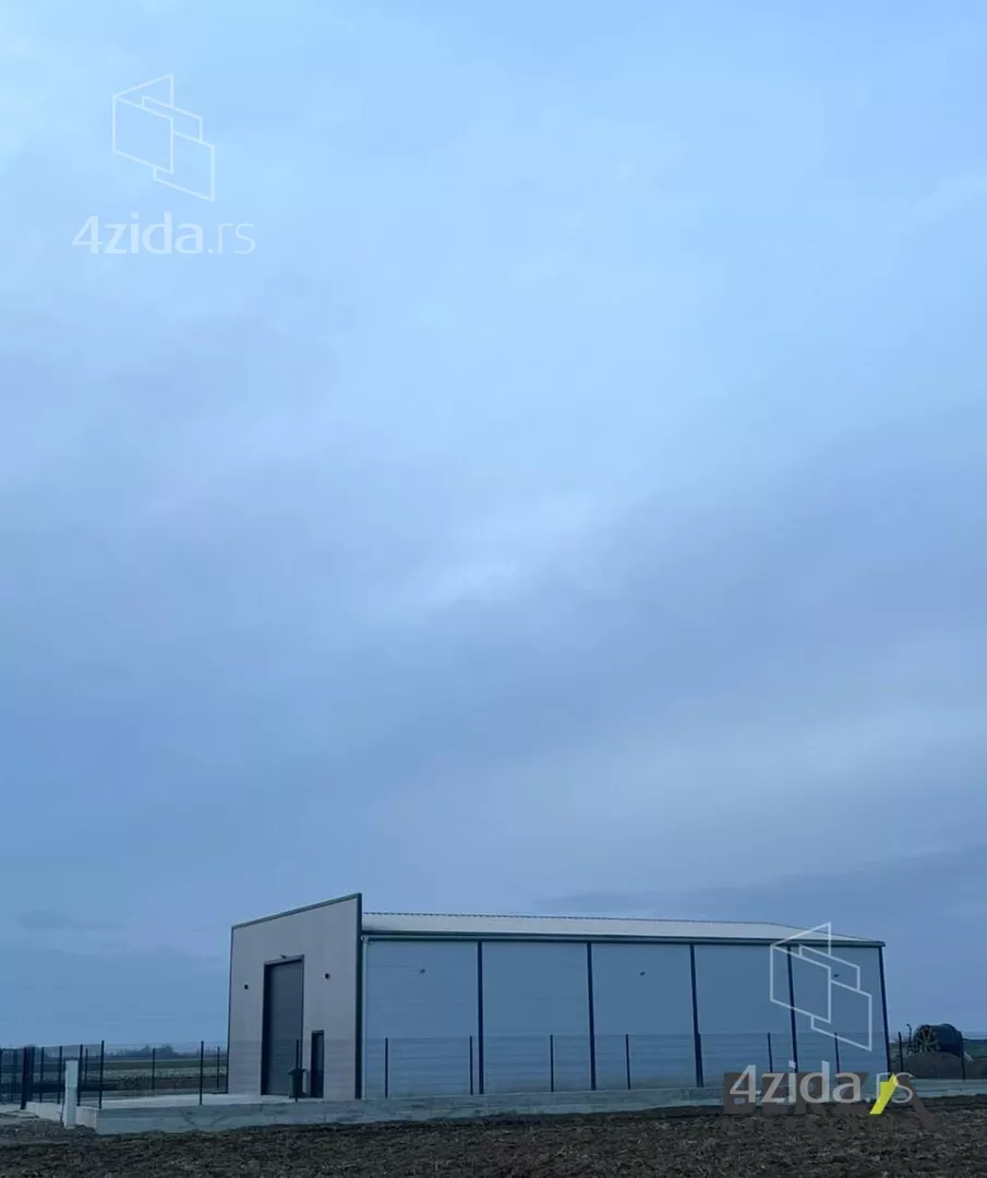 Hala | 4zida
