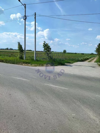Krnješevačka | 4zida.rs