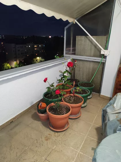 Bulevar Zorana Đinđića | 4zida.rs