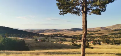 Šainovci | 4zida.rs