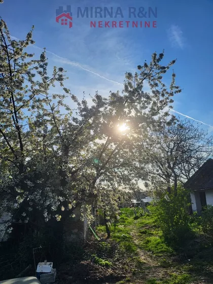 Dalmatinska | 4zida.rs