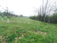 Čardak, Sremska Kamenica, Gradske lokacije, Novi Sad | 4zida.rs