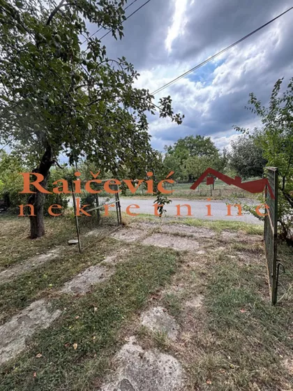 Igora Urosevica | 4zida.rs