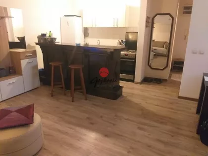 Gospodar Jevremova | 4zida.rs