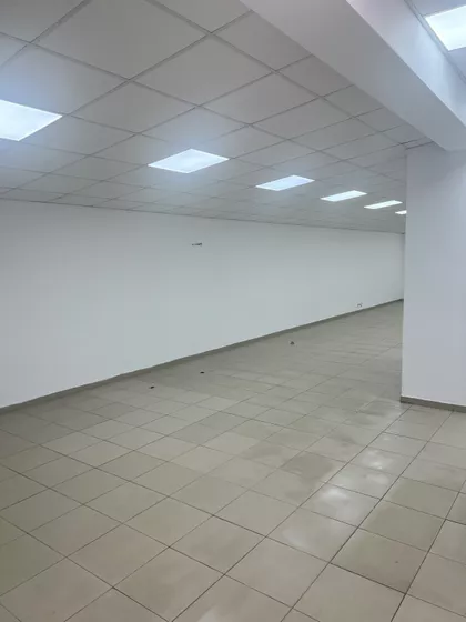 Vojvode Škopljanca | 4zida.rs