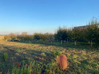 Okolne lokacije | 4zida.rs