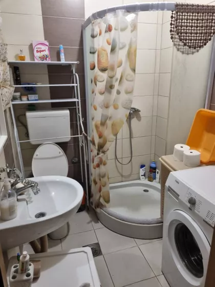 Davida Pajića | 4zida.rs