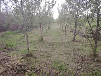 Zetska 26 | 4zida.rs