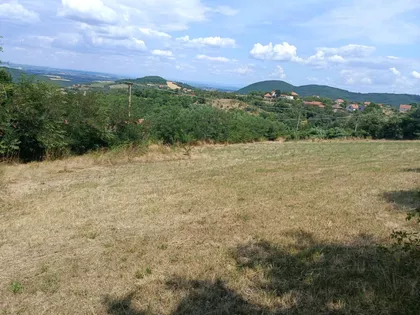 Donje Grbice | 4zida.rs