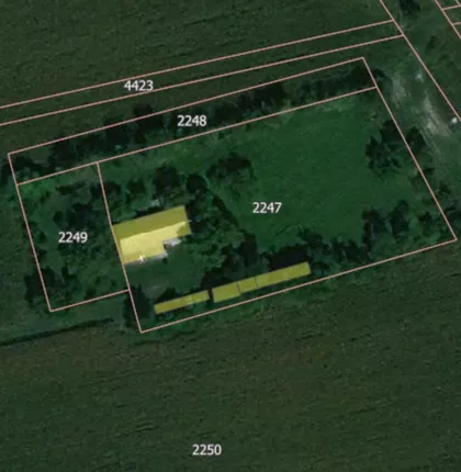 Međunarodni Put 247 | 4zida.rs