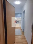 Telep, Gradske lokacije, Novi Sad | 4zida.rs | 4zida.rs