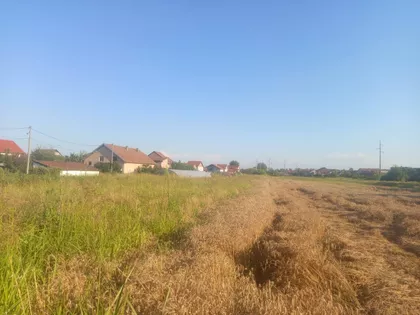 Azanjska | 4zida.rs