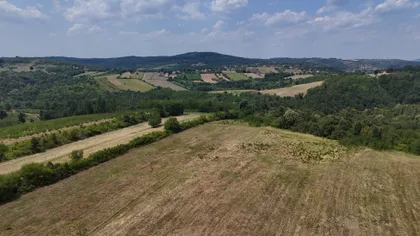 Vitomira Nikolića | 4zida.rs