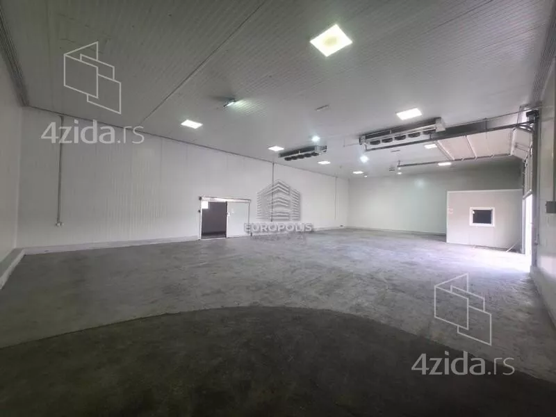 Hala | 4zida