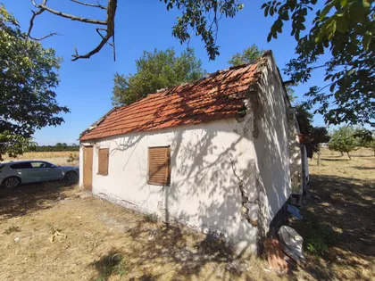 Šumica | 4zida.rs